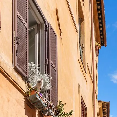 Lägenhet R.c. Cappellari Charming Campo De Fiori